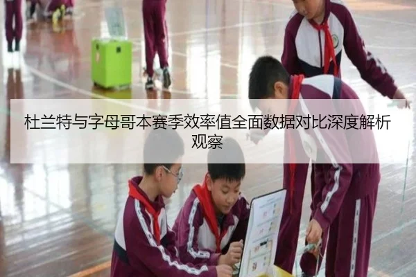 杜兰特与字母哥本赛季效率值全面数据对比深度解析观察