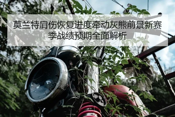 莫兰特肩伤恢复进度牵动灰熊前景新赛季战绩预期全面解析