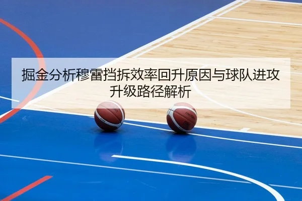 掘金分析穆雷挡拆效率回升原因与球队进攻升级路径解析 | kaiyun